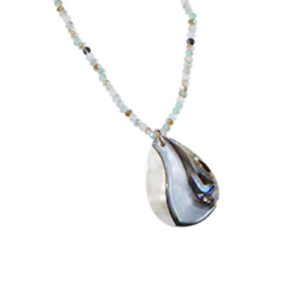 Park Lane Ariel Necklace (NWT)